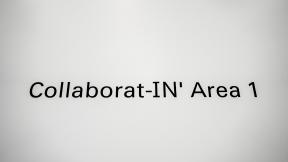 Collaborat-IN' Area 1 - workshops, presentations and lectures