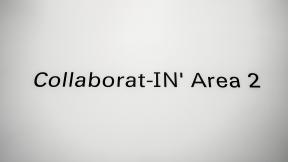 Collaborat-IN' Area 2 - meetings, presentations and lectures